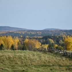 clôture en bois dans un champ
