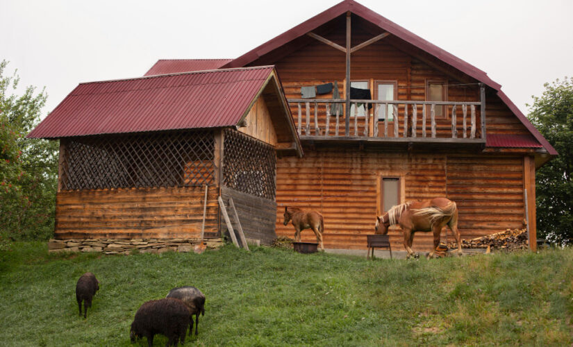 Chalet en bois pour habitation : est-ce une bonne idée ?