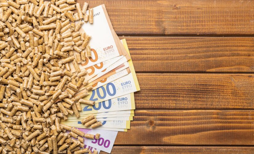 3 raisons pour lesquelles acheter un poêle à granulés pourrait être une mauvaise idée