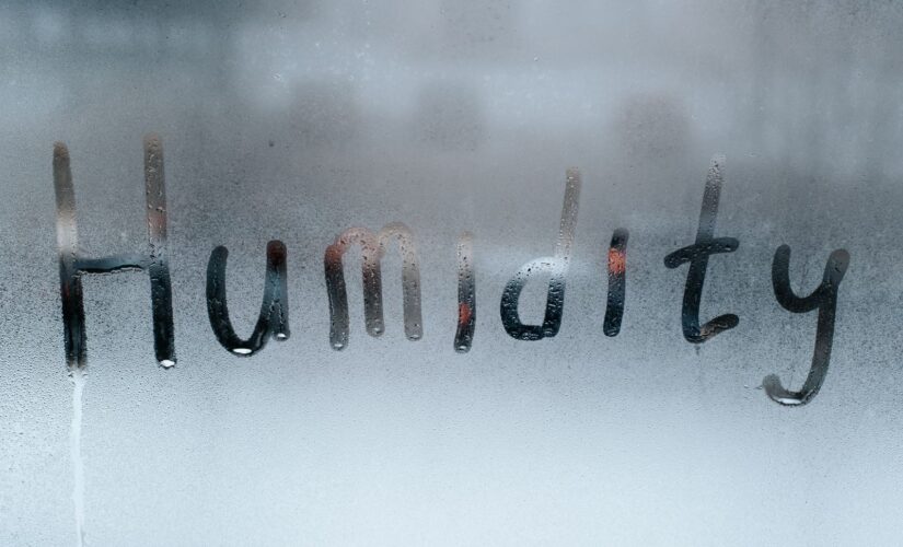 Maison humide : débarrassez vous de l’humidité chez vous en utilisant ces 3 astuces simples