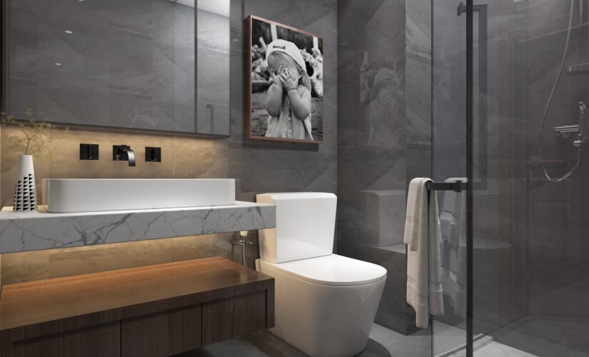 Installation d’un Sanibroyeur : quelle est la législation ?