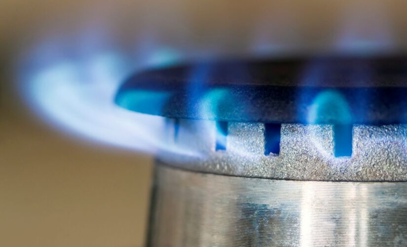 Facture de gaz : comprendre les tarifs pour la faire baisser