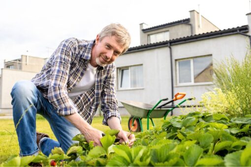Taxe abri de jardin 2025 : l’astuce légale à connaître pour ne rien payer