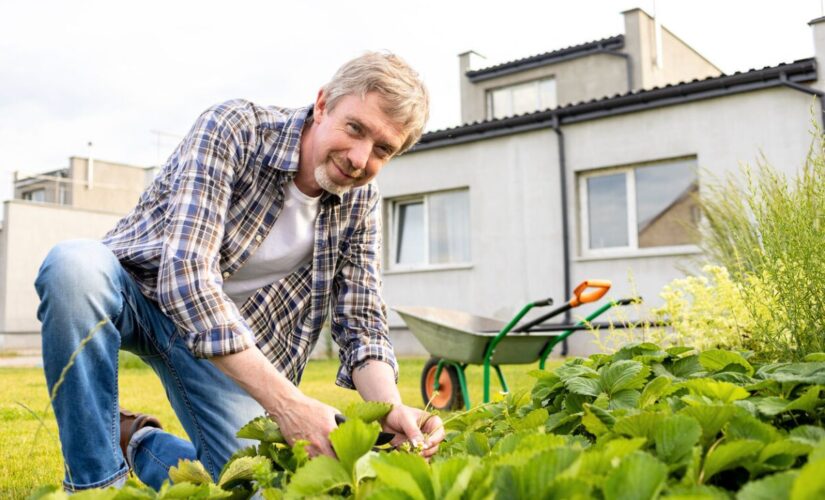 Taxe abri de jardin 2025 : l’astuce légale à connaître pour ne rien payer