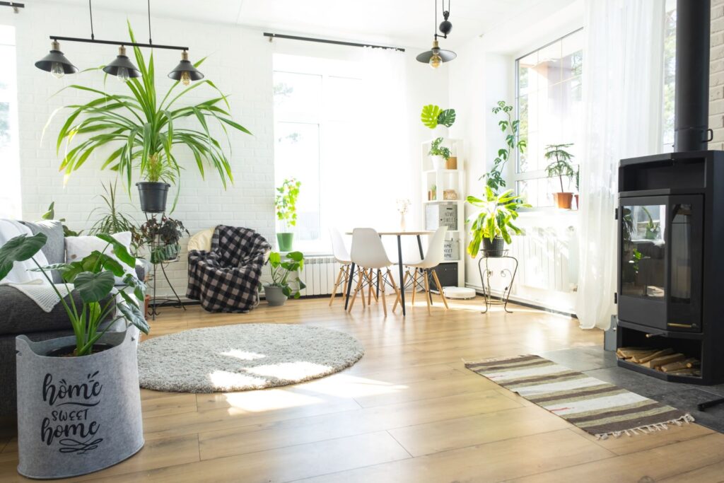 déco écologique plantes